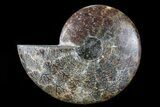 Agatized Ammonite Fossil (Half) - Madagascar #79724-1